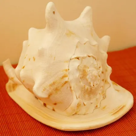 Lasse
